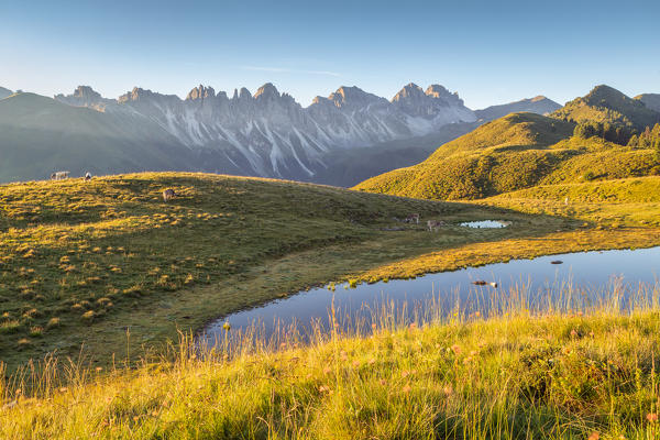 The view over Salfeins Lake and the Kalkkögel mountain chain as seen from the fields of Figl mountain, Grinzens, Innsbruck Land, Tyrol, Austria, Europe