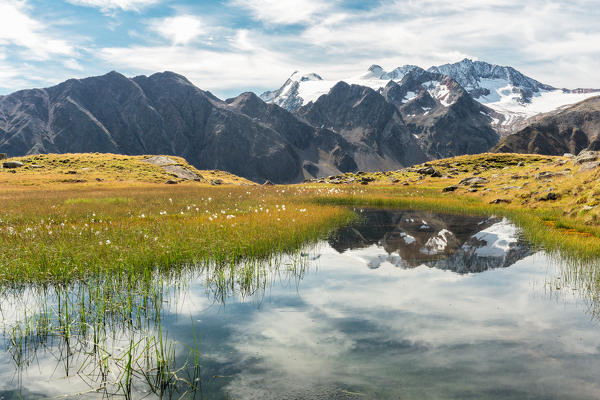 The highest peaks of Stubai Valley mirroring in a swamp, Innsbruck Land, Tyrol, Austria, Europe