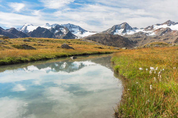 A wild stream and the Peaks of Stubai Glaciers, Stubai Valley, Innsbruck Land, Tyrol, Austria, Europe