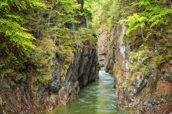 At the beginning of the Kaiser Gorge, Aschau, Brandenberg region, Kufstein district, Tyrol, Austria, Europe
