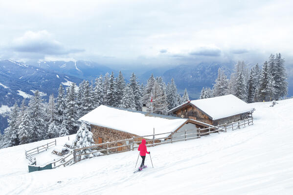 A woman snoeshoeing by the Patscher Alm hut, Patscherkofel mountain, Patsch, Innsbruck Land, Tyrol, Austria, Europe