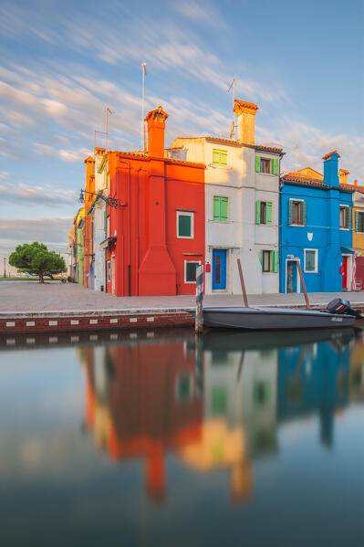A lonely tree growing next to the typical buildings of Burano at dawn, Burano Island, Venice, Veneto, Italy, Europe
