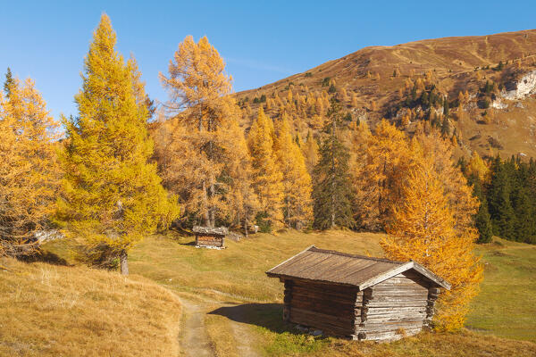 Haybarns from the meadows of Steiner Alm hut with the Allerleigrubenspitze in the background on an autumn day, Obernberg am Brenner, Innsbruck Land, Tyrol, Austria, Europe