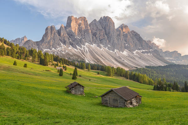 Gampenwiese, Gampen Alm, Val di Funes - Villnoesser Tal, Suedtirol - Alto Adige - South Tyrol, Italy, Europe