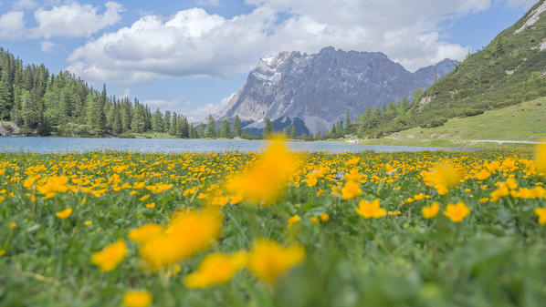 Seebensee, Mieming, Imst, Tirol - Tyrol, Austria, Europe