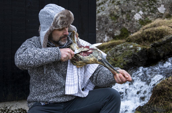 An inhabitant of Faroe Islands is slicing into a tipical sheep meat (Gjogv, Eysturoy island, Faroe Islands, Denmark) (MR)
