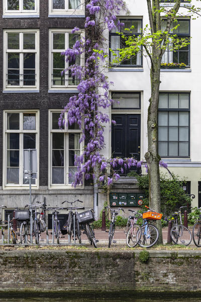 The Grachtengordel area in the Historical center of Amsterdam, Keizersgracht canal (North Holland, Netherlands)