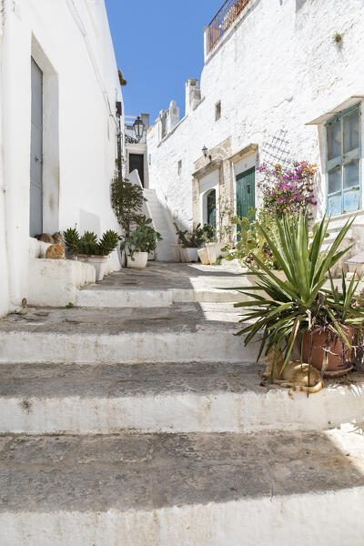 Small street in the white village of Ostuni (province of Brindisi, Salento, Apulia, Italy)