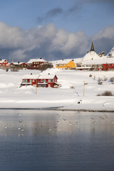 Coastal village of Hasvik covered with snow during the cold arctic winter (Soroya Island, Troms og Finnmark, Norway)