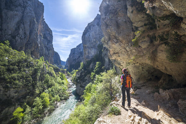 The Imbut Trial: a girl is admiring the Verdon Gorge (Var department, Provence-Alpes-Côte d'Azur, France, Europe) (MR)
