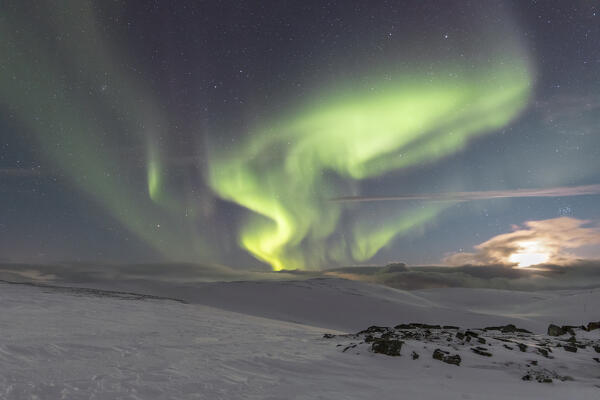 Northern Lights (Nordkapp, Troms og Finnmark, Norway)