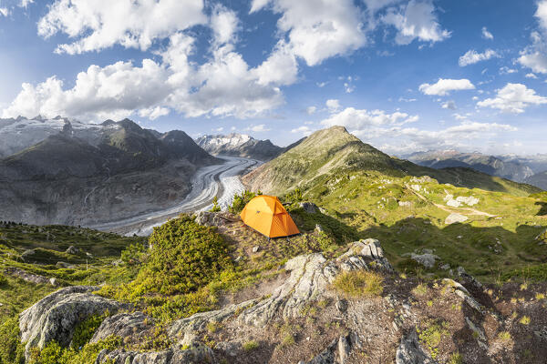View of Aletsch Glacier from the Moosfluh viewpoint (Riederalp, Bernese Alps, Canton of Valais, Switzerland, Europe)