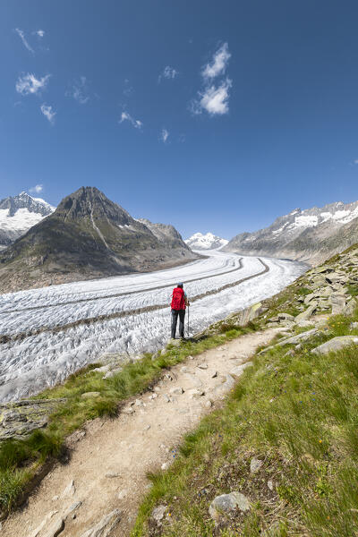 A woman admires the Aletsch Glacier from the trail near Roti Chumme (Bettmeralp, Bernese Alps, Canton of Valais, Switzerland, Europe) (MR)