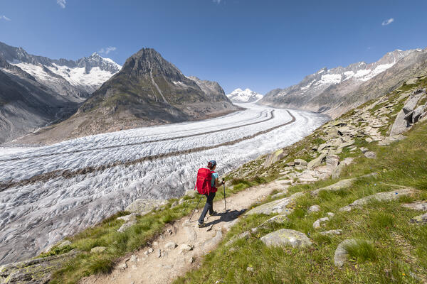 A woman is walking in front of Aletsch Glacier, in the trail from Roti Chumme to Marjelensee (Bettmeralp, Bernese Alps, Canton of Valais, Switzerland, Europe) (MR)