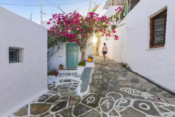 In the alleys of the small village of Faros (Sifnos Island, Cyclades Islands, Greece, Europe) (MR)