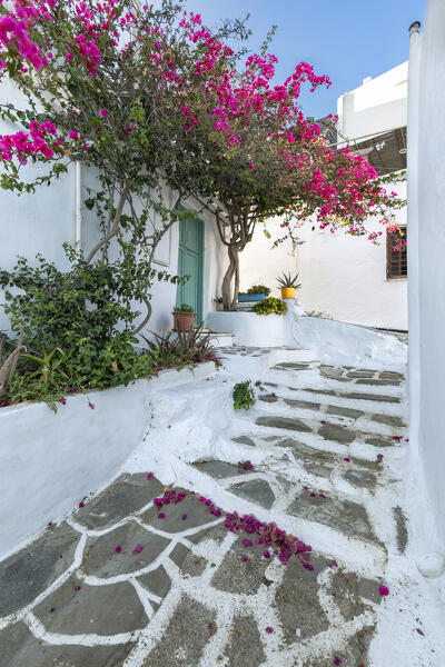 In the alleys of the small village of Faros (Sifnos Island, Cyclades Islands, Greece, Europe)