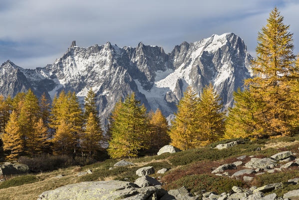 Autumn at the lake Arpy with colorful trees and the Grandes Jorasses, Mont Blanc massif, in the background 
(Lake Arpy, Morgex, Aosta province, Aosta Valley, Italy, Europe)