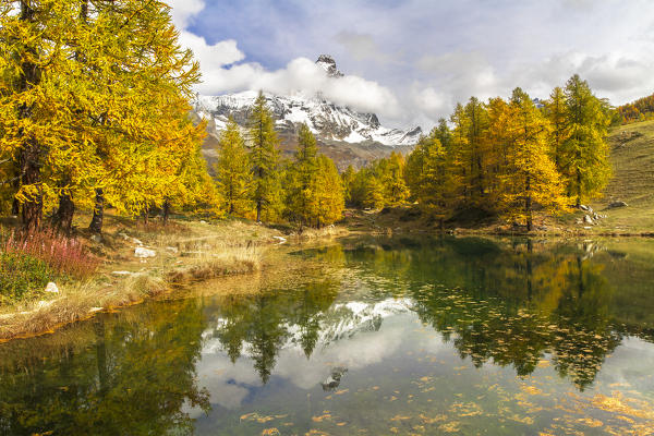 The Matterhorn stands out among the clouds and it is reflected in the small lake Blu surrounded by colorful trees in autumn (Cervinia, Valtournenche, Aosta province, Aosta Valley, Italy, Europe)