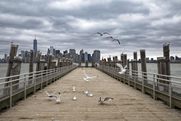Lower Manhattan skyline (Liberty Island, New York City, New York, United States of America)