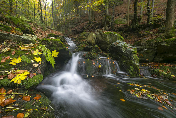 A creek in Oropa Valley in autumn (Oropa Valley, Biella province, Piedmont, Italy, Europe)