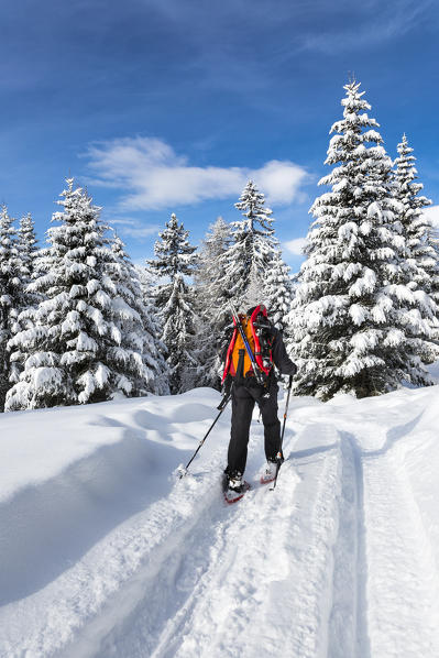 A girl hiking in winter (Varzo, Verbano Cusio Ossola province, Piedmont, Italy, Europe)