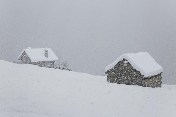 Winter view of the Alp Ple during a snowfall (Alp Ple, Varzo, Verbano Cusio Ossola province, Piedmont, Italy, Europe)