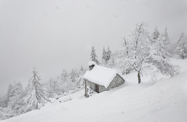 Winter view of the Alp La Pree during a snowfall (Alp La Pree, Varzo, Verbano Cusio Ossola province, Piedmont, Italy, Europe)