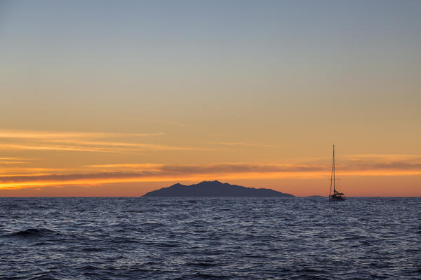 Sailing at sunrise, on background Capraia Island (Mediterranean Sea, Macinaggio, Rogliano, Bastia, Haute-Corse department, Corsica, France, Europe)