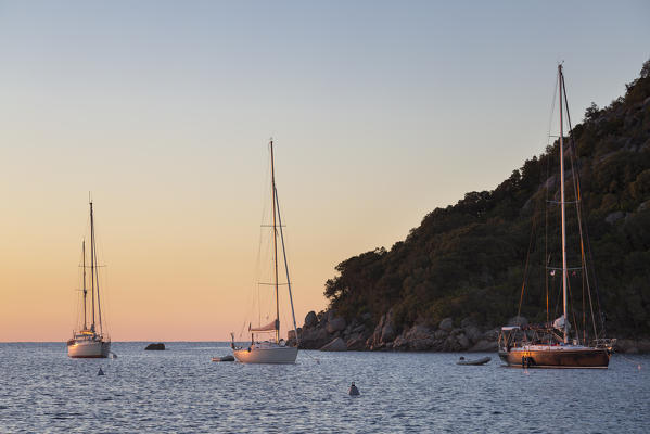 Sailing boat at sunrise in Gulf of Santa Giulia (Porto-Vecchio, Corse-du-Sud;, Corsica, France, Europe)
