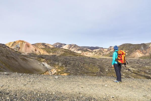 A trekker is looking at the Landmannalaugar panorama walking up to the Blahnukur mountain (Landmannalaugar, Fjallabak Nature Reserve, Highlands, Southern Region, Iceland, Europe) (MR)