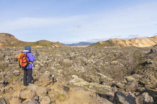 A trekker is looking at the Landmannalaugar lava field (Landmannalaugar, Fjallabak Nature Reserve, Highlands, Southern Region, Iceland, Europe) (MR)