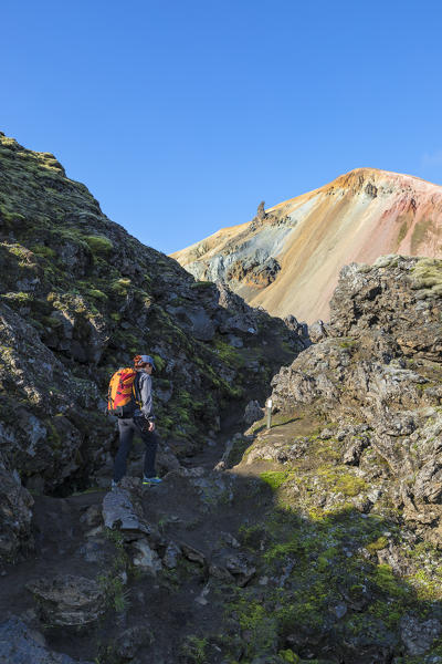 Graenagil footpath: a trekker is walking through the Laugahraun lava field in Landmannalaugar, the Brennisteinsalda mountain on background (Fjallabak Nature Reserve, Highlands, Southern Region, Iceland, Europe) (MR)