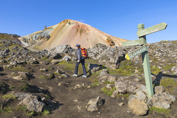 Graenagil footpath: a trekker is walking through the Laugahraun lava field in Landmannalaugar, the Brennisteinsalda mountain on background (Fjallabak Nature Reserve, Highlands, Southern Region, Iceland, Europe) (MR)