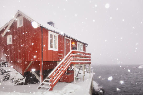 A tourist in the typical red houses of Norway during a winter snowfall. A, Lofoten island, Norway, Scandinavia, Europe.