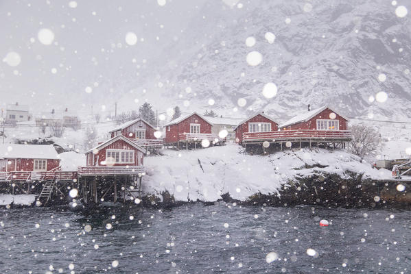 The red houses of A the last village of Lofoten island during a winter snowfall. A, Lofoten island, Norway, Scandinavia, Europe.