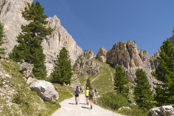Hikers along the pathway from Gardeccia to Vajolet refuge in Catinaccio group. Gardeccia, Pozza di Fassa, Fassa valley, Trento district, Dolomites, Trentino Alto Adige, Italy, Europe.