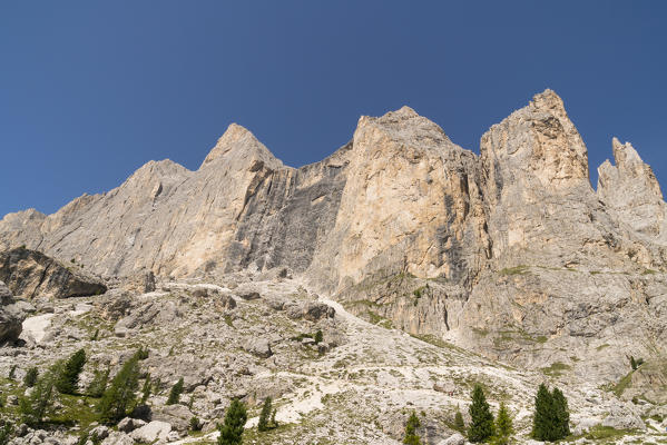 Catinaccio Rosengarten wall in Catinaccio group Dolomites during summer. Gardeccia, Pozza di Fassa, Fassa valley, Trento district, Dolomites, Trentino Alto Adige, Italy, Europe.