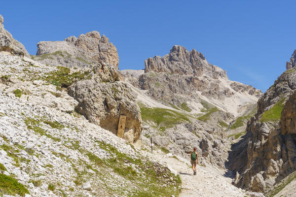 Trekking along the pathway from Vajolet refuge to Principe Alberto refuge in Catinaccio group. Gardeccia, Pozza di Fassa, Fassa valley, Trento district, Dolomites, Trentino Alto Adige, Italy, Europe.