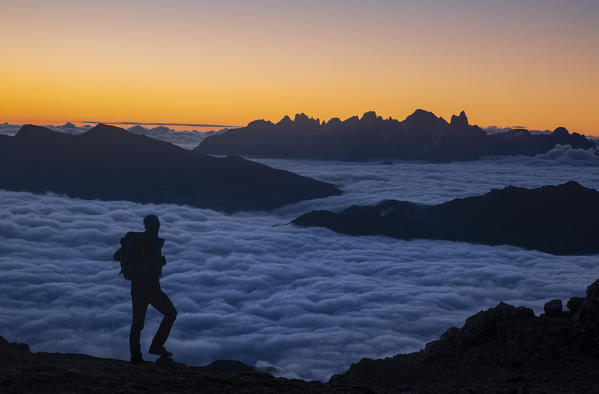 Hiker admiring sunrise in Dolomites mountains with Pale di San Martino group in background. Schenon mount, Latemar group, Costalunga pass, Fassa valley, Pozza di Fassa, Trento district, Dolomites, Italy, Europe.
