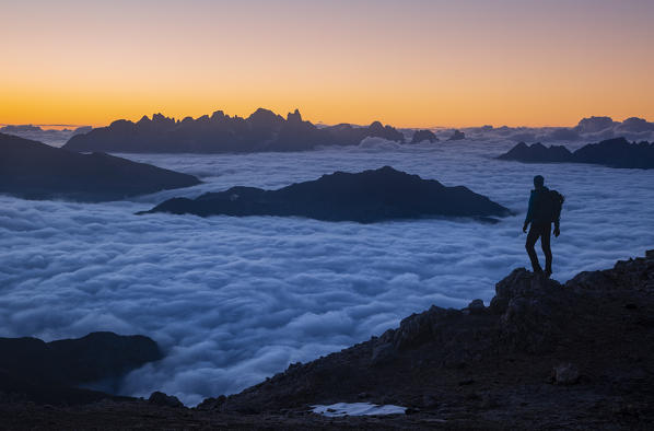 Hiker admiring sunrise from Latemar with Pale di San Martino group in background over a cloudy carpet. Schenon mount, Latemar group, Costalunga pass, Fassa valley, Pozza di Fassa, Trento district, Dolomites, Italy, Europe.