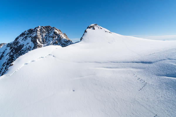 Alpinists on the glacier to Capanna Regina Margherita in Rosa mount from an aerial point of view. Gressoney, Aosta district, Valle d'Aosta, Alps, Italy, Europe.