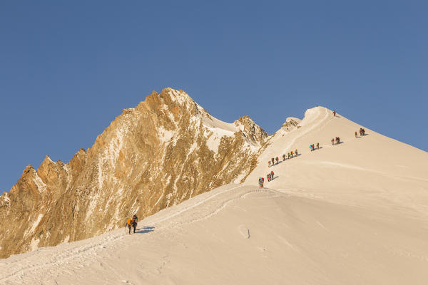 Alpinists along normal route to Nadelhorn, a 4000 peak in Sass Fe valley. Sass Fe, Vallese canton, Switzerland, Alps, Europe.