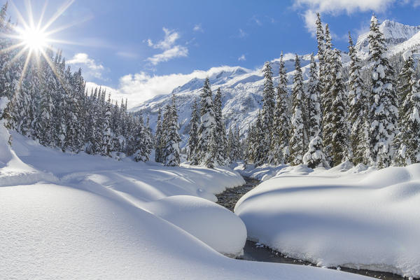 Panorama and landscape of Asulkan valley after a snowfall. Roger pass, British Columbia, Canada