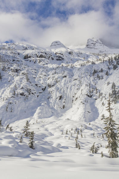 Winter snow landscape in Asulkan valley at Roger pass, British Columbia, Canada