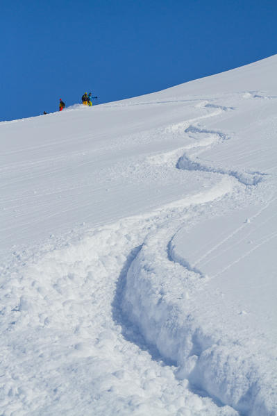 Ski tracks on the powder snow during winter in the mountains. Greenland, Denmark 