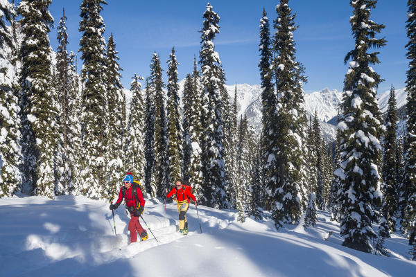 Skiers in the canadian wood during winter. Roger pass, Canada, North America
