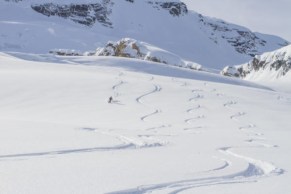 Freeride in the snow - Roger pass - British Columbia - Canada