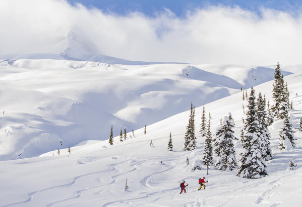 Asulkan valley in winter, Roger pass, British Columbia, Canada