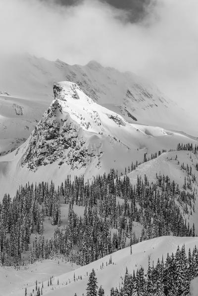 Asulkan valley in winter, Roger pass, British Columbia, Canada