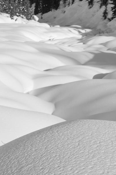 Snowed dunes - winter landscape